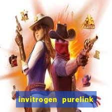 invitrogen purelink genomic dna mini kit